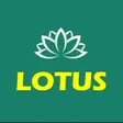 Lotus cricket 365 icon