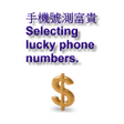 Lucky phone number[trial] APK icon