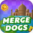 Merge Dogs Master APK icon